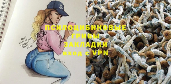 гидропоника Новозыбков