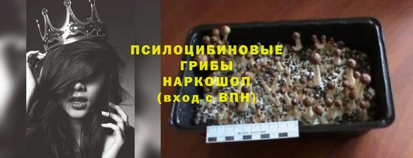 гашик Новокубанск