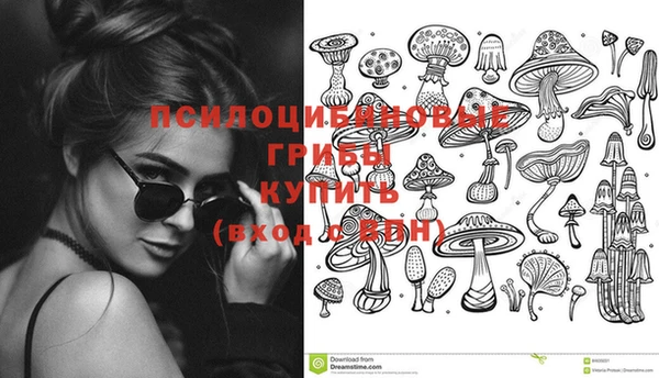 сатива Нязепетровск