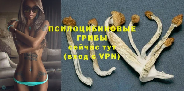 прущий лед Новодвинск