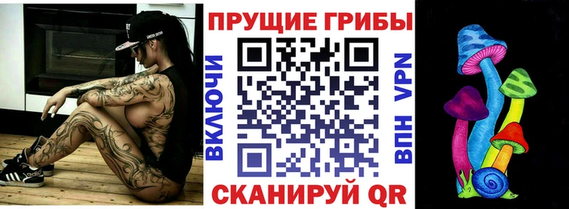 blacksprut ссылки Великий Новгород Псилоцибиновые грибы ЛСД
