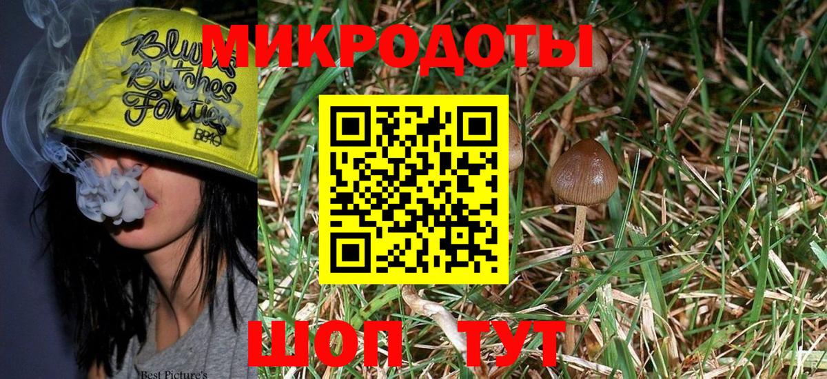 где купить наркоту  Великий Новгород  Псилоцибиновые грибы GOLDEN TEACHER 