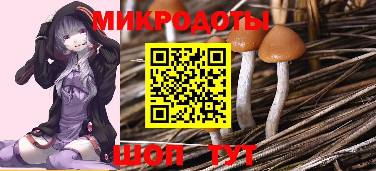 Галлюциногенные грибы MAGIC MUSHROOMS  Вход с VPN  Великий Новгород 