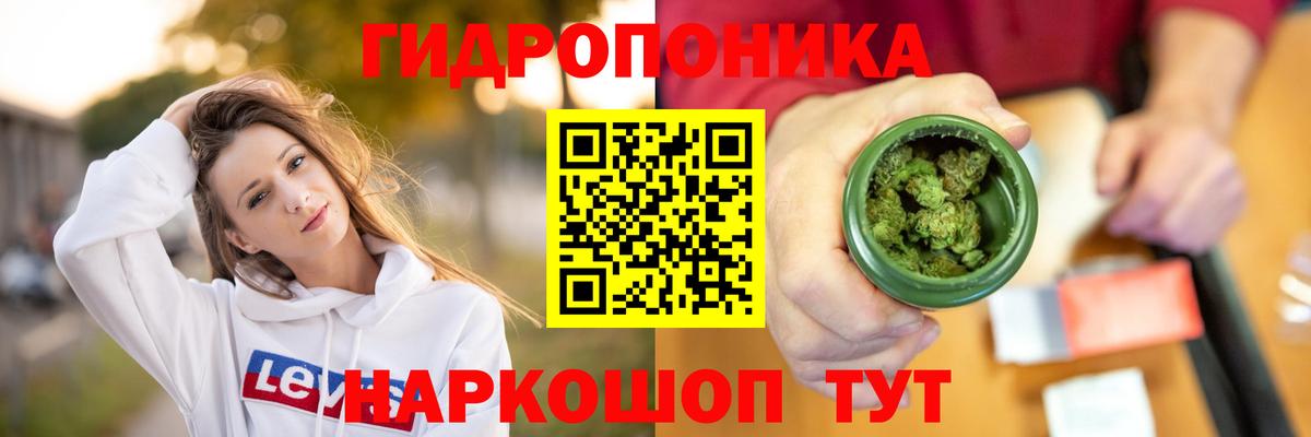Каннабис индика  Бошки Шишки OG Kush  Великий Новгород  Вход с VPN 